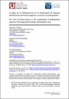 El papel de la infraestructura en la reactivación de espacios deshabitados del Pirineo aragonés.pdf.jpg