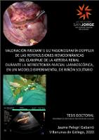 Valoración mediante ultrasonografía Doppler de las repercusiones hemodinámicas del clampaje de la arteria renal durante la nefrectomía parcial laparoscópica, en un modelo experimental de riñón solitario.pdf.jpg